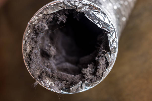 Best Ductwork Cleaning Services  in West Ack, NY